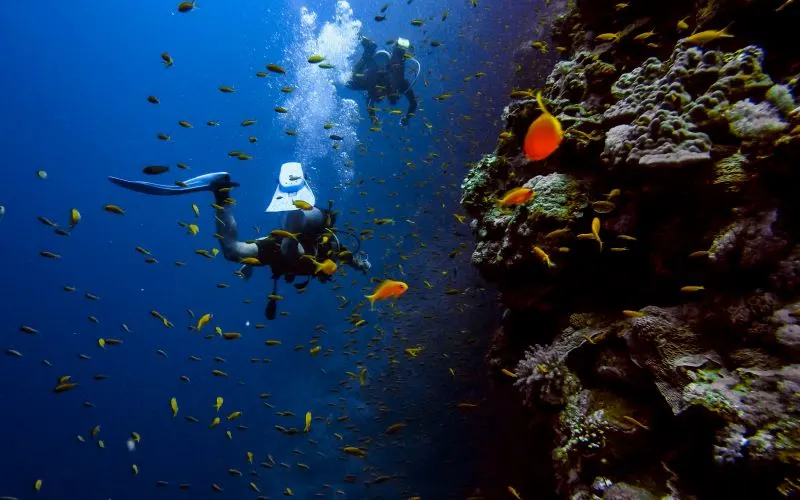 Scuba Diving Karpathos, Greece