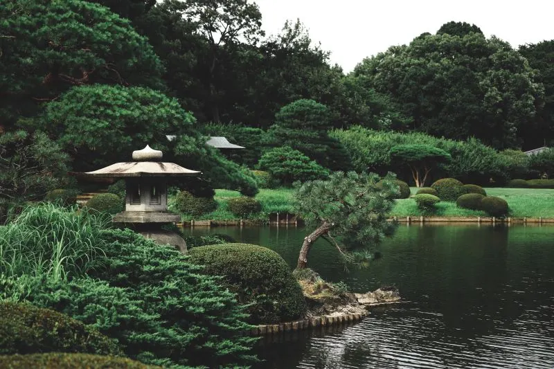 Shinjuku Gyoen National Garden, Japan