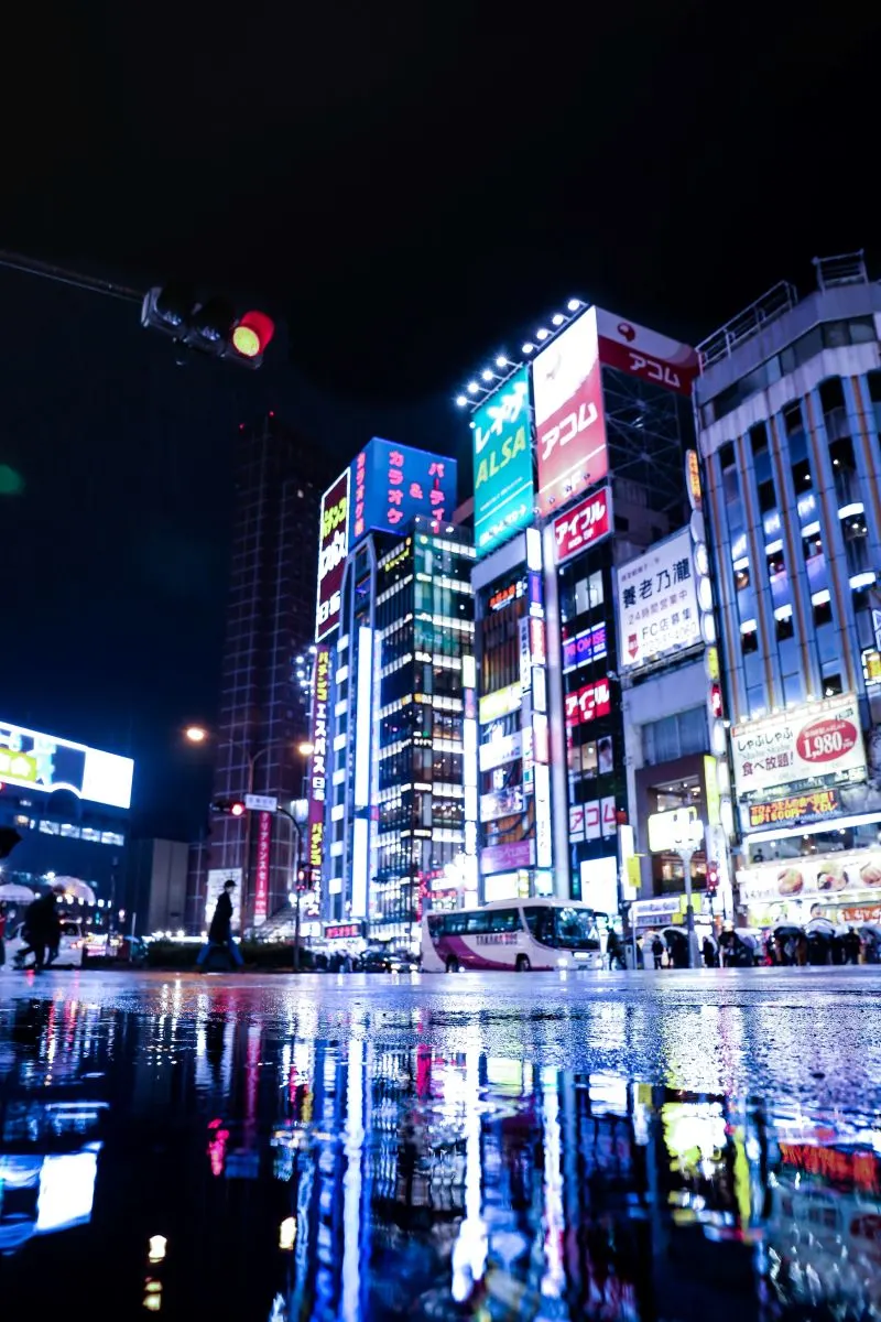 Shinjuku Piccadilly , Japan