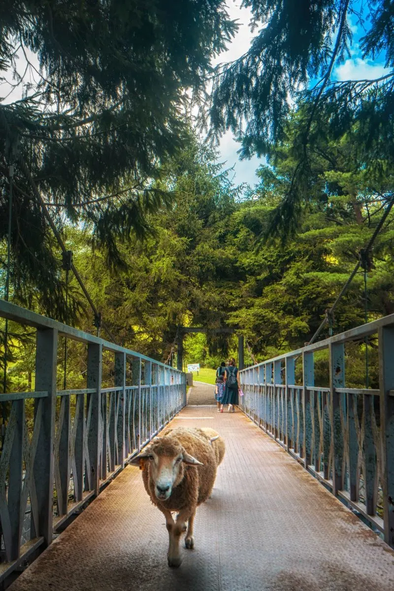Sumaura Park Kobe, Japan