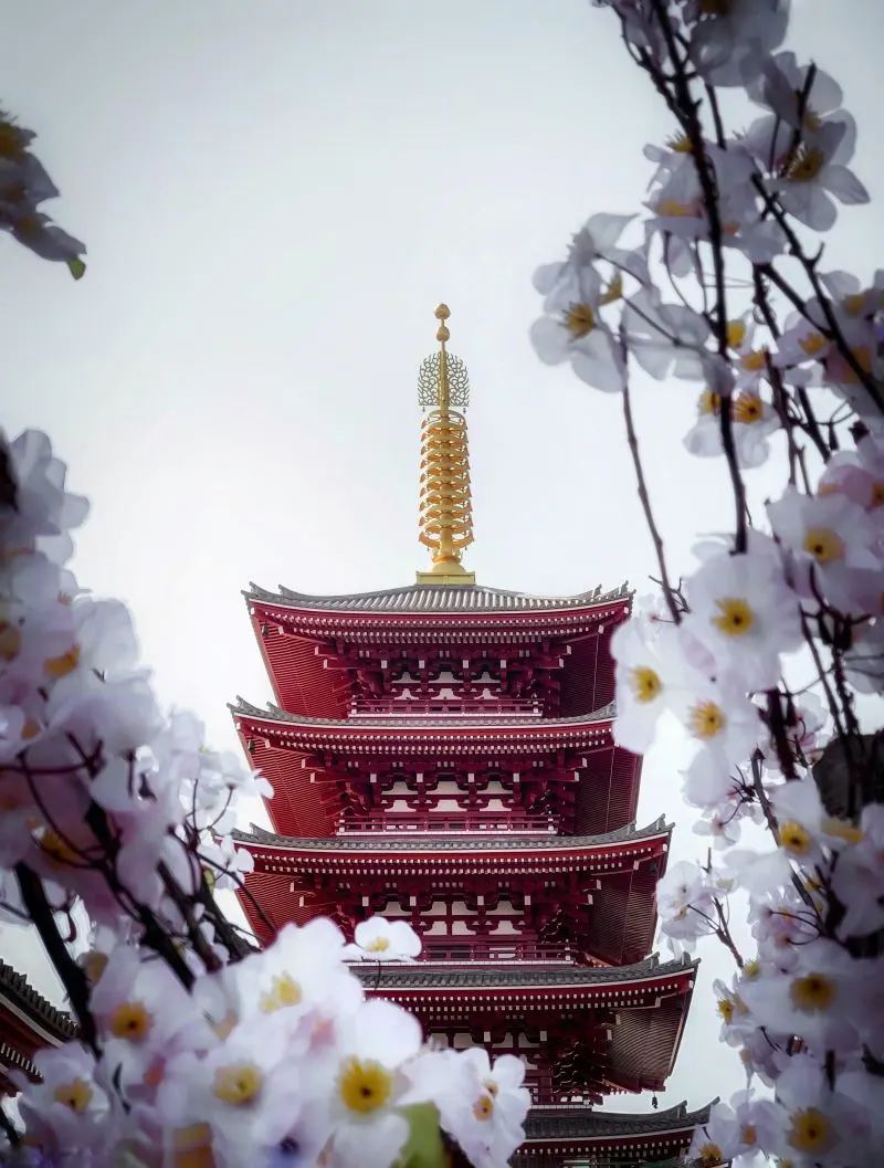 Sumida Park, Asakusa, Japan