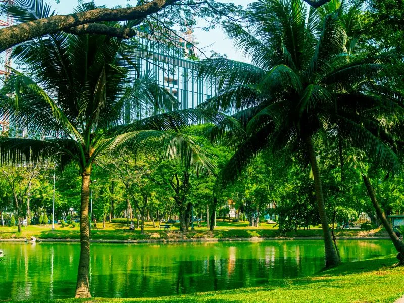 Thung Si Muang Park Ubon Ratchathani, Thailand