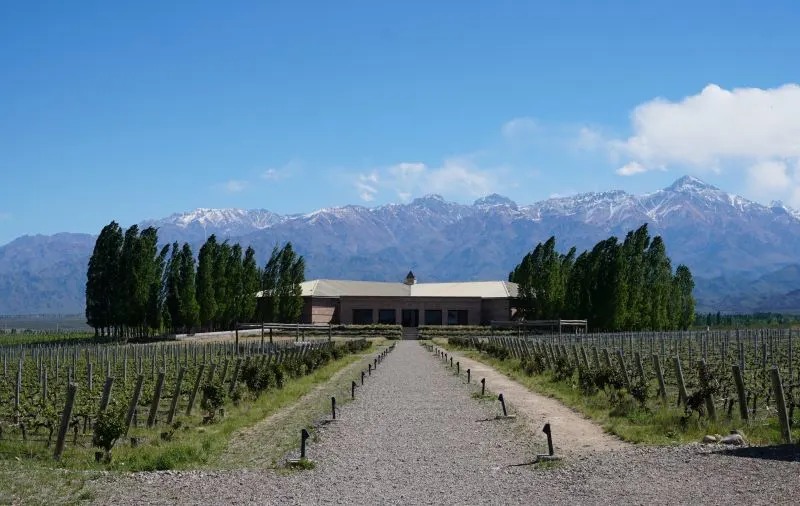 Wine Tour Mendoza, Argentina