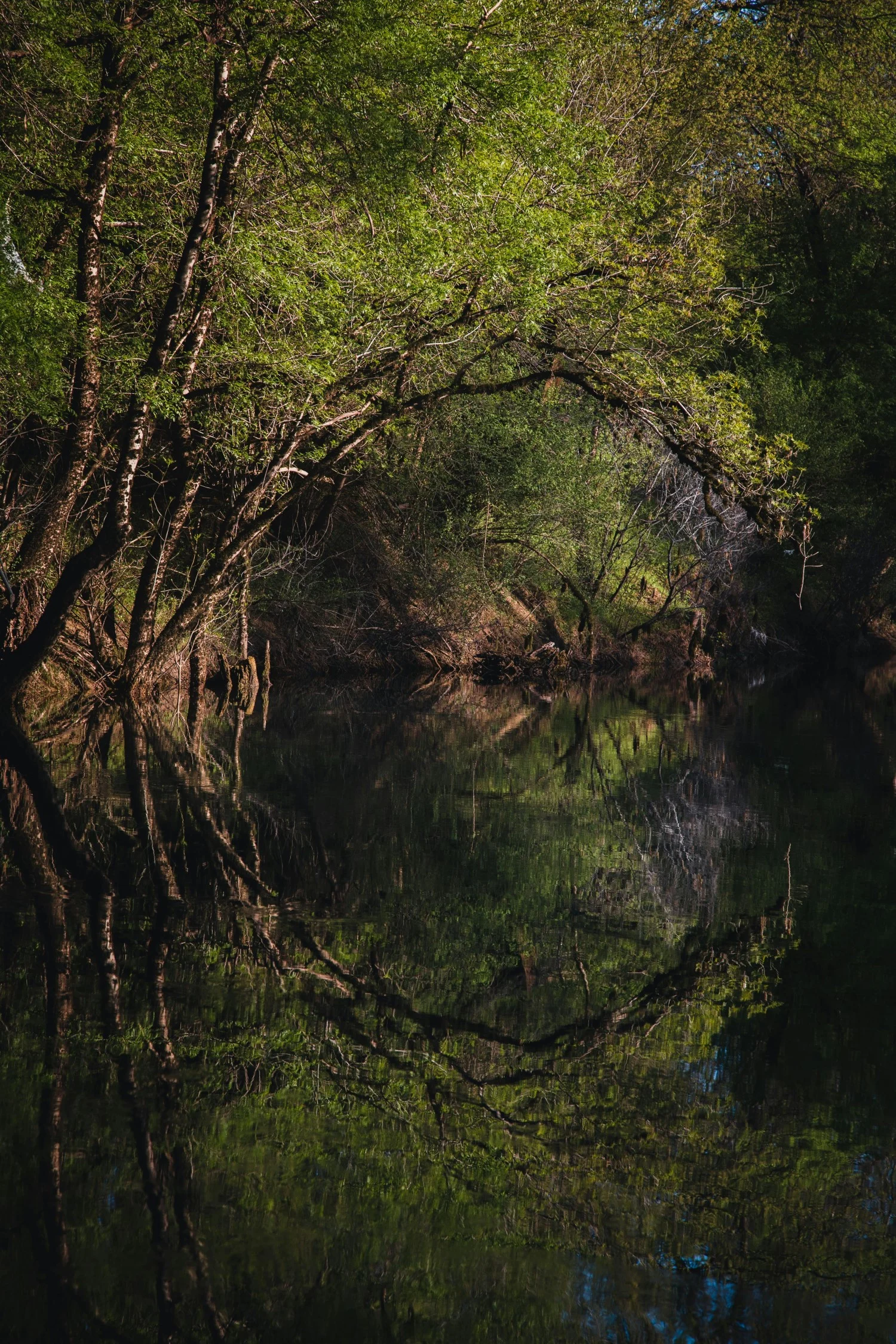 China Jinan Forest Park reflections