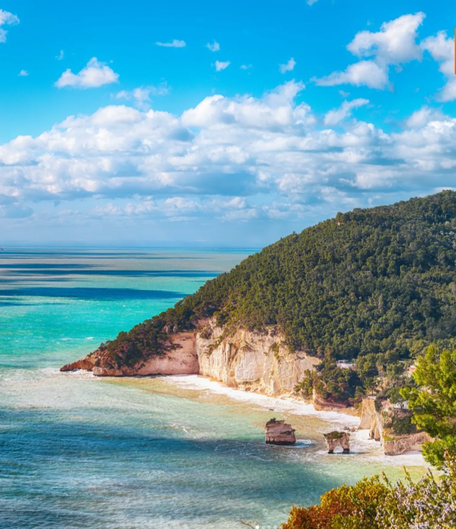 Italy parco nazionale del gargano green trees and blue water