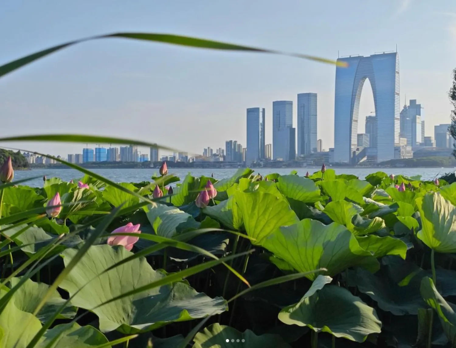 Jinji Lake Suzhou China buildins near the lake
