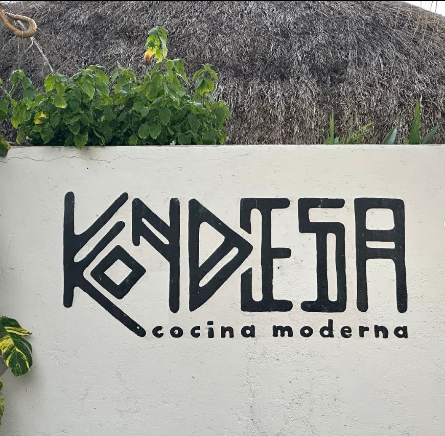 Restaurant kondesa cozumel mexico modern kichen