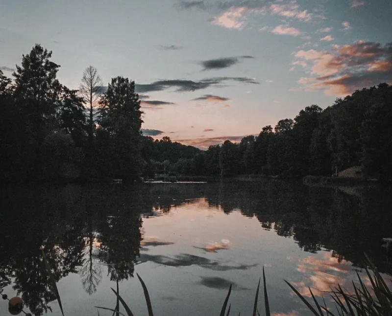 Saarbr&uuml;cken Franz&ouml;sischer Garten trees around the water in the sunset light