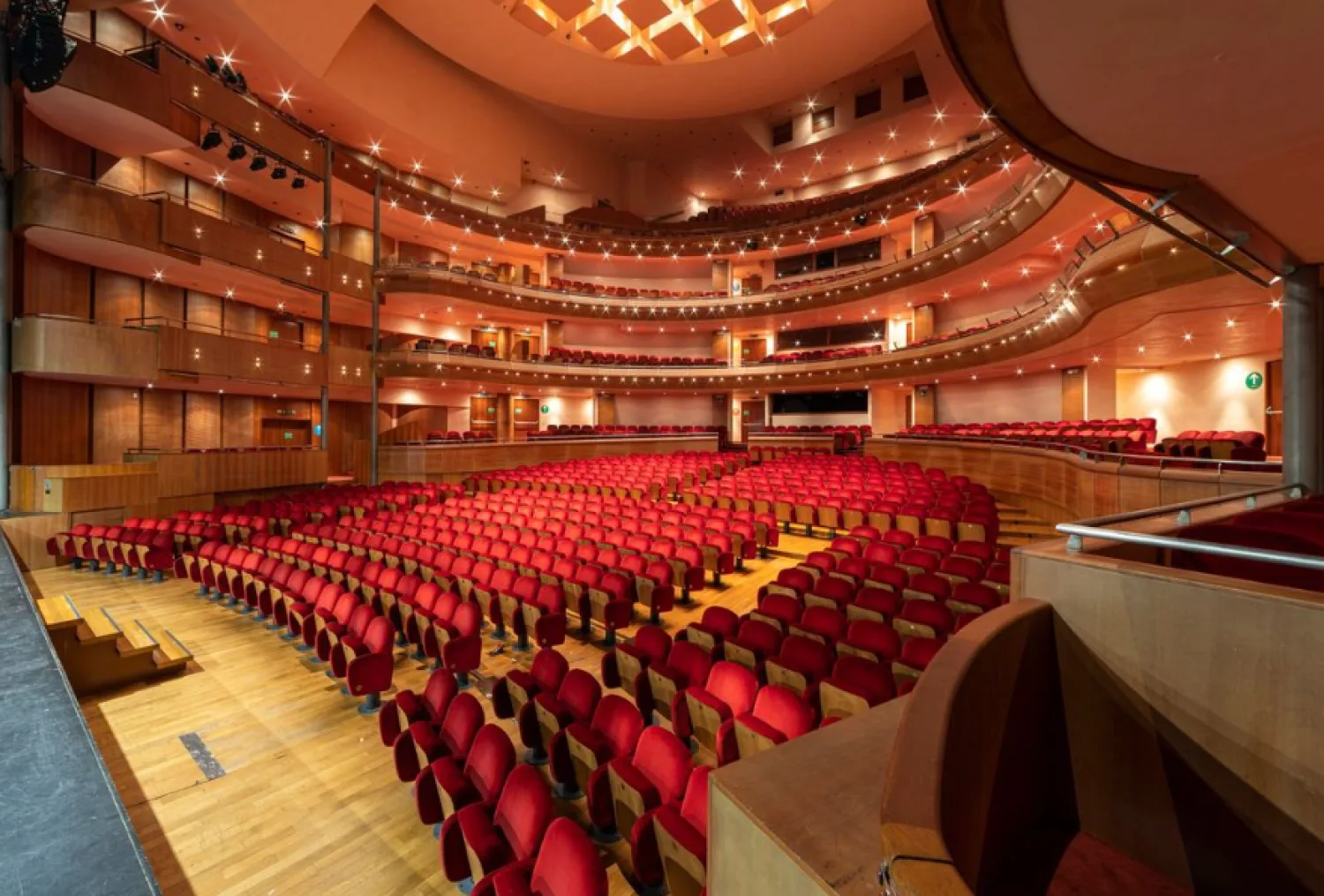 Teatro Nuovo Giovanni da Udine velvet chairs