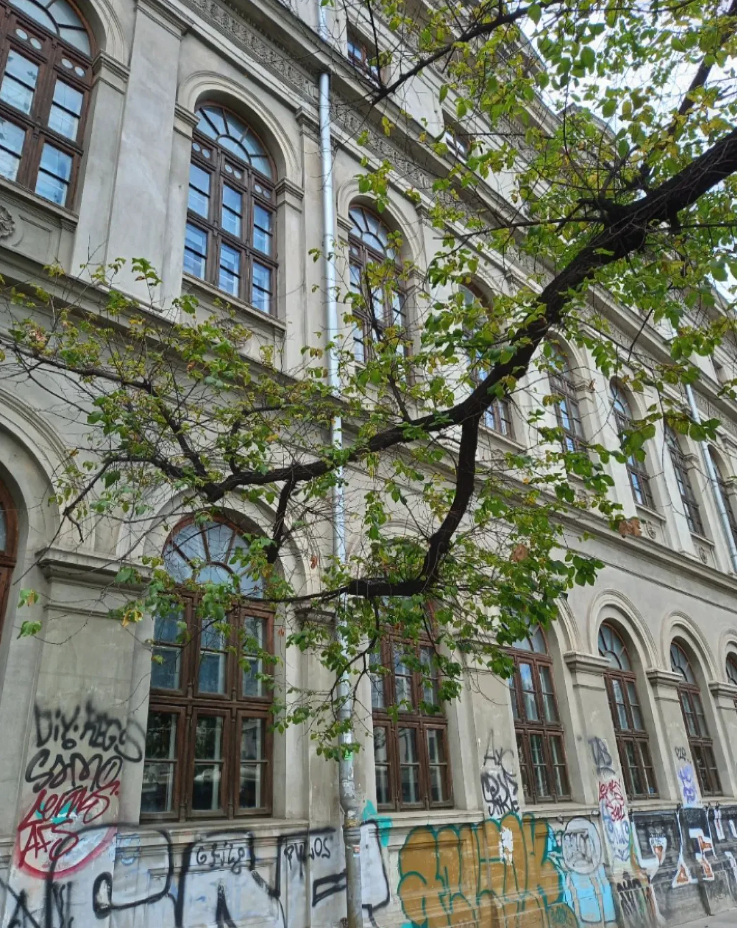 Universitate bucharest graffitty on the university