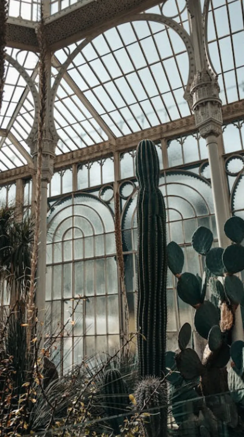Würzburg Botanical Garden cactus