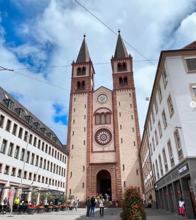 Würzburger Dom Germany brown dom between 2 white building