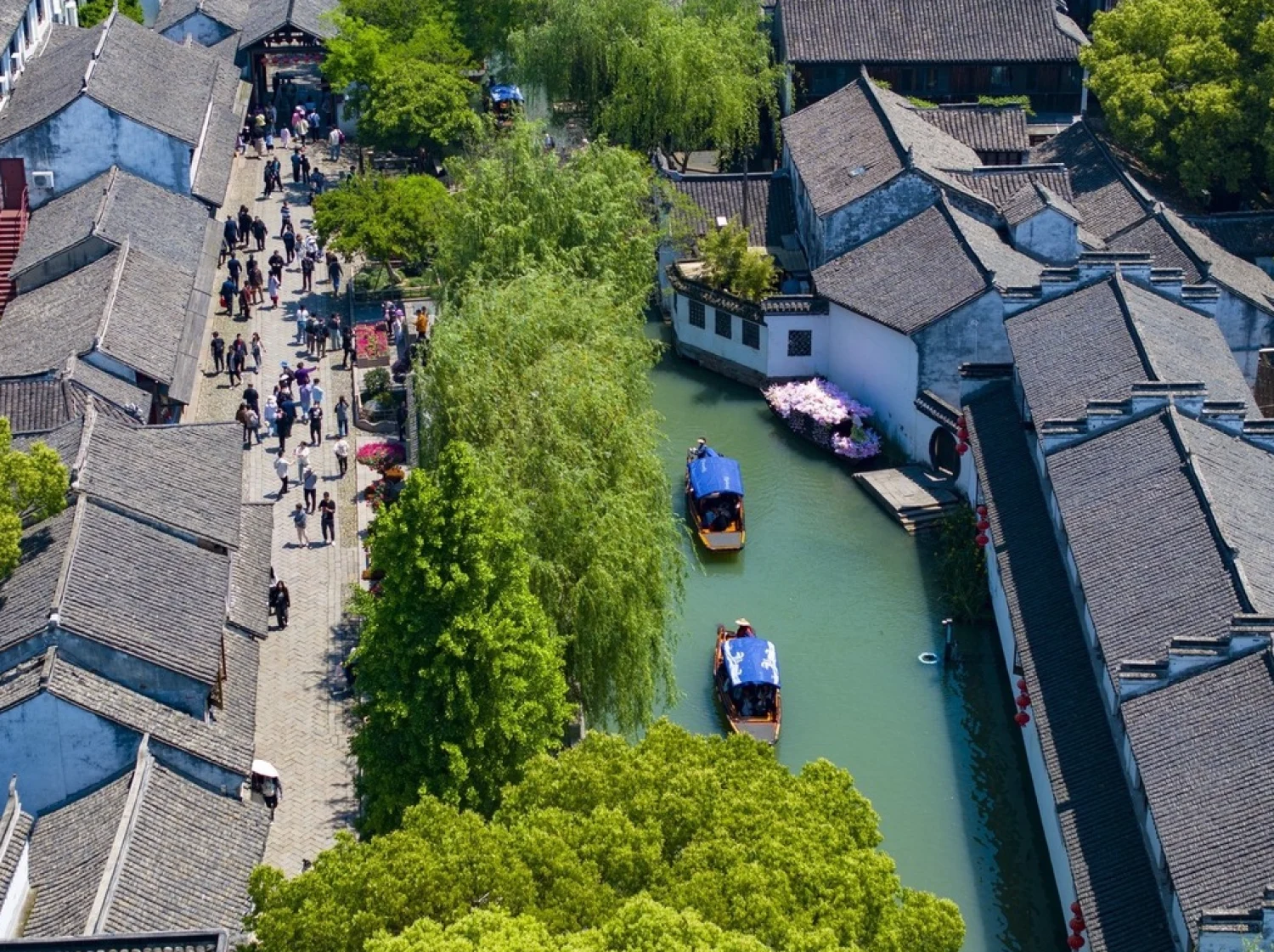 Zhouzhuang Water Townb houses near the canal and green trees