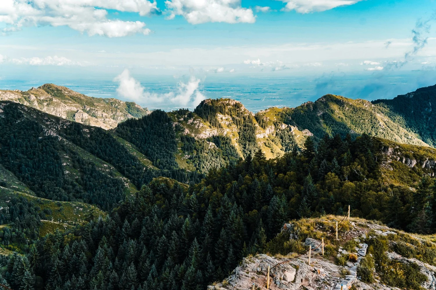 changsha china Yuelu Mountain Green Trees