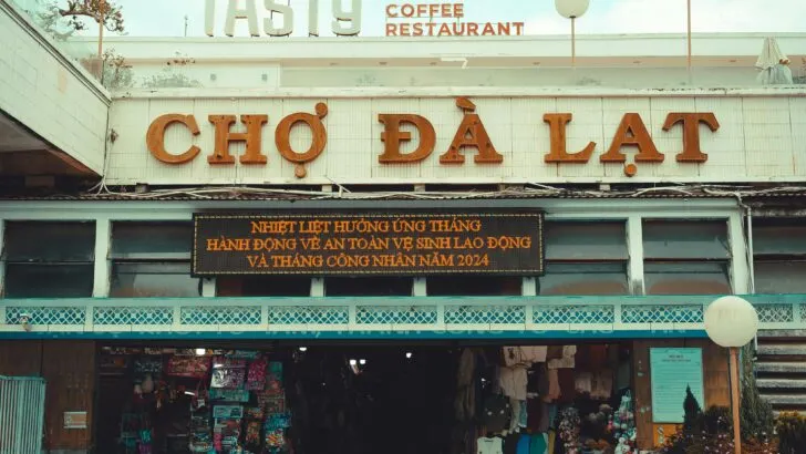 dalat vietnam 24 hours the go guy