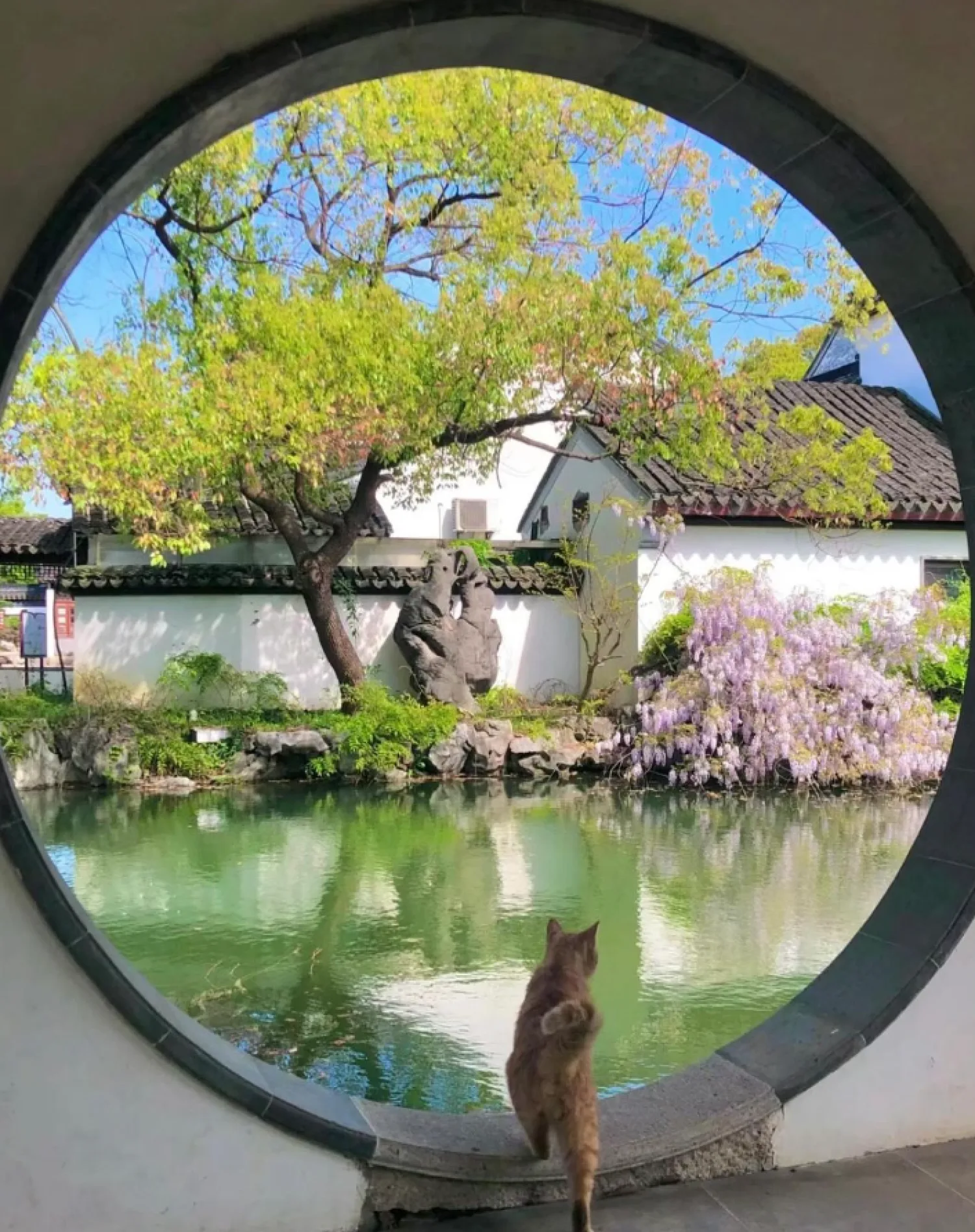 the classical gardens of suzhou house near the canal