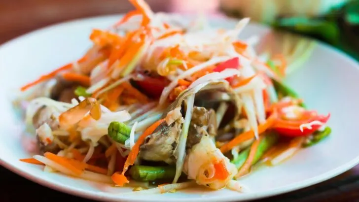 green som tam thai papaya salad the go guy