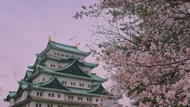 the go guy nagoya best things to do